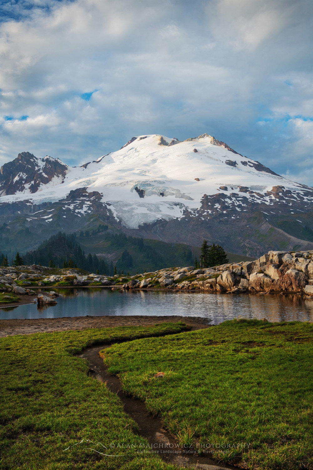 Mount Baker's south face, seen from the alpine meadows of Mt. Baker National Recreation Area. North Cascades, Washington #88256