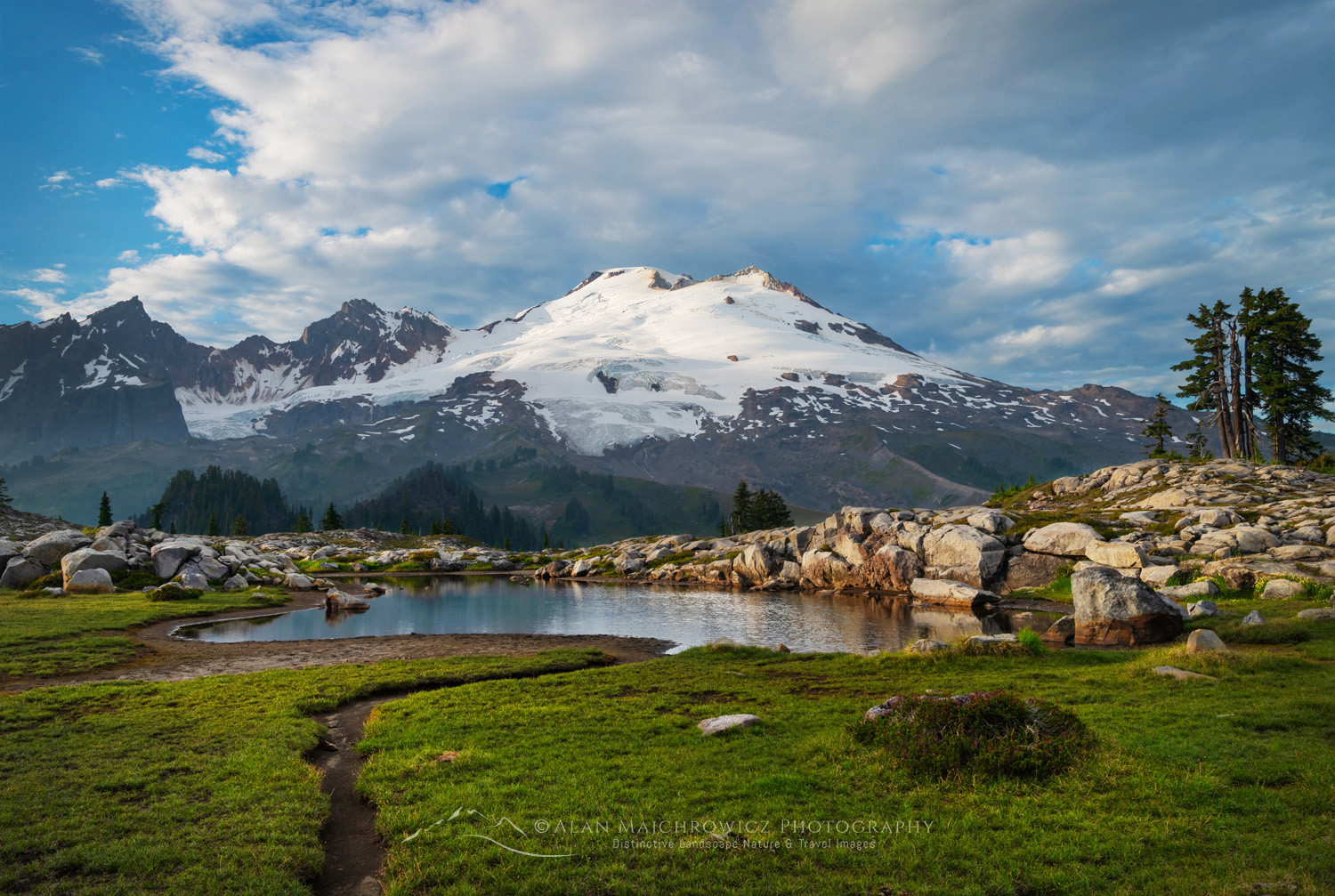 Mount Baker's south face, seen from the alpine meadows of Mt. Baker National Recreation Area. North Cascades, Washington #88257