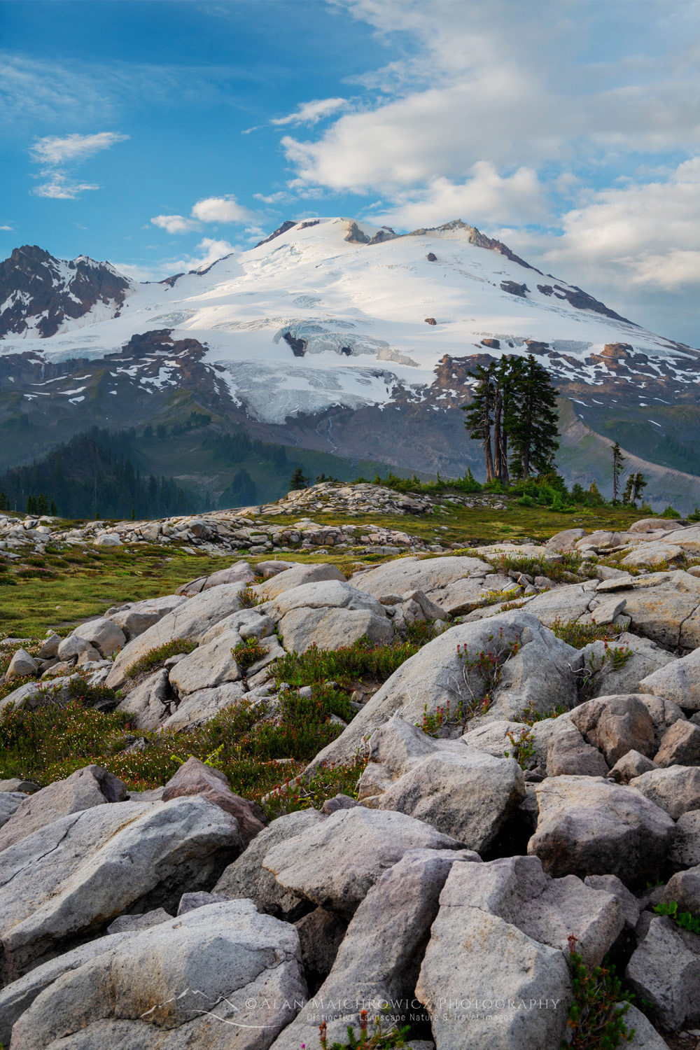 Mount Baker's south face, seen from the alpine meadows of Mt. Baker National Recreation Area. North Cascades, Washington #88264