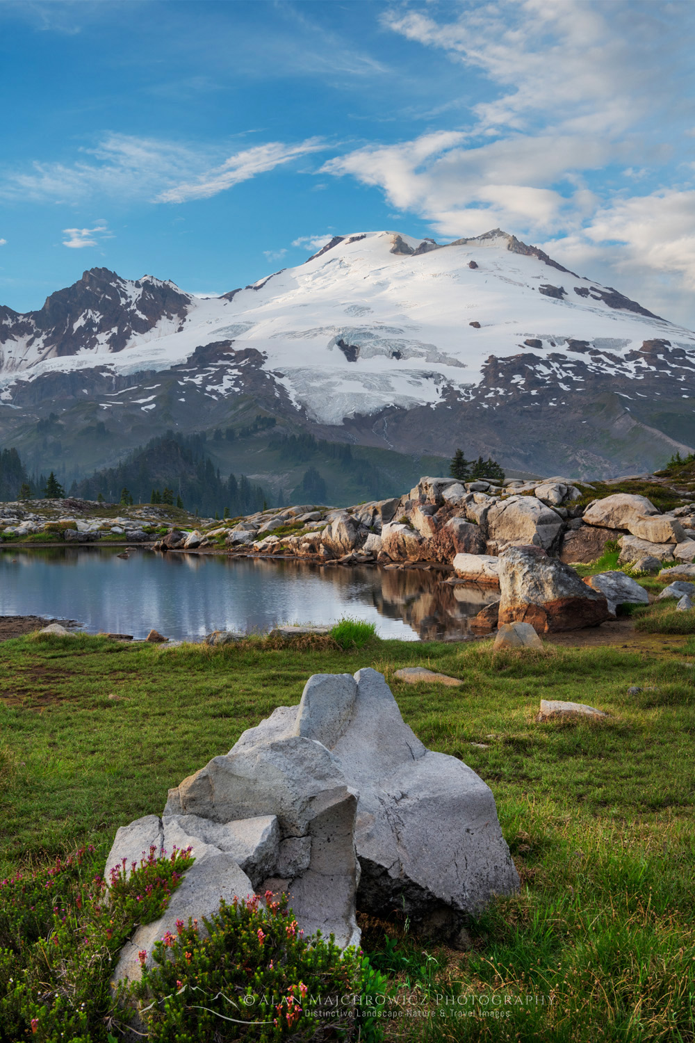 Mount Baker's south face, seen from the alpine meadows of Mt. Baker National Recreation Area. North Cascades, Washington #88269