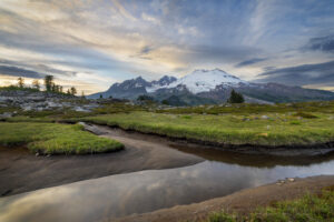 Mount Baker's south face reflected in a tarn in the alpine meadows of Mt. Baker National Recreation Area. North Cascades, Washington #88300