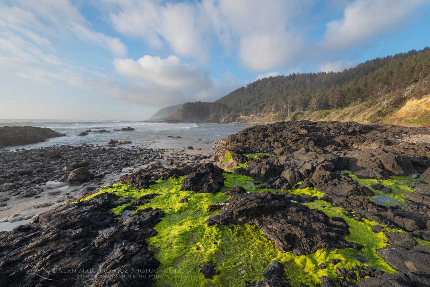 Bright green sea moss covers the rocky lava at Strawberry Hill along the central Oregon coast. #87867