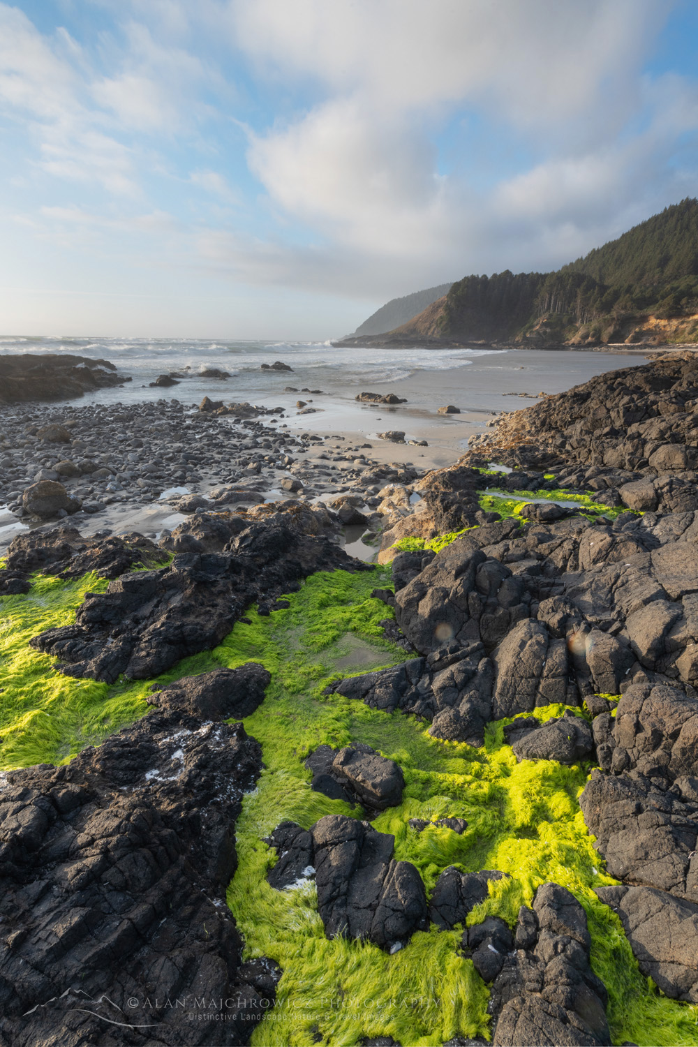 Bright green sea moss covers the rocky lava at Strawberry Hill along the central Oregon coast. #87869