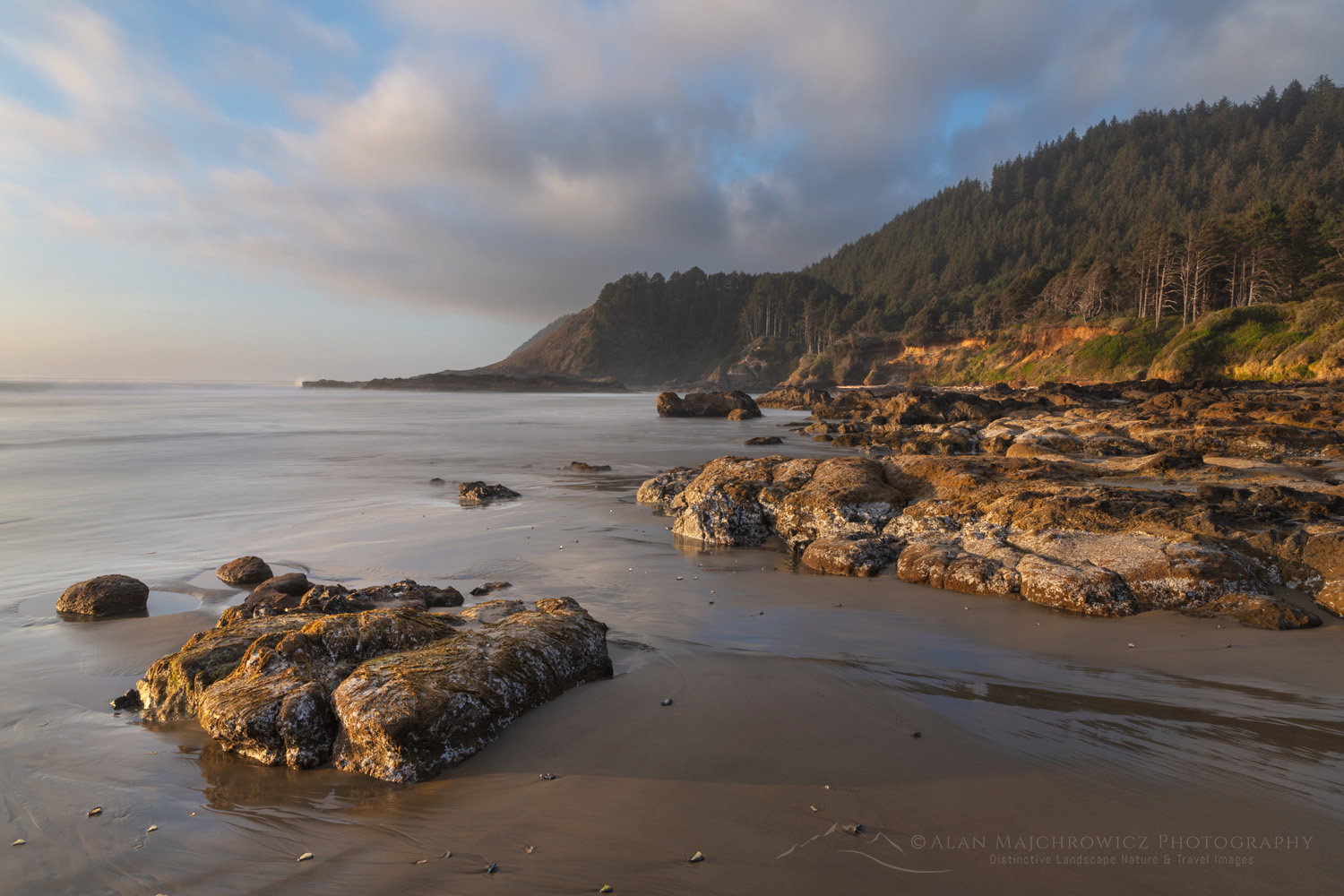 Strawberry Hill wayside on the central Oregon coast at low tide during evening golden hour #87880