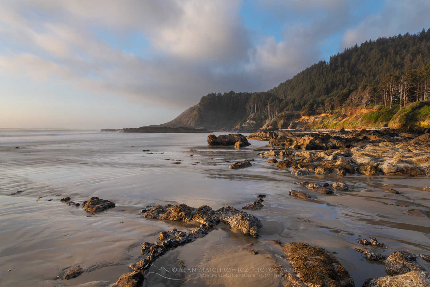 Strawberry Hill wayside on the central Oregon coast at low tide during evening golden hour #87882