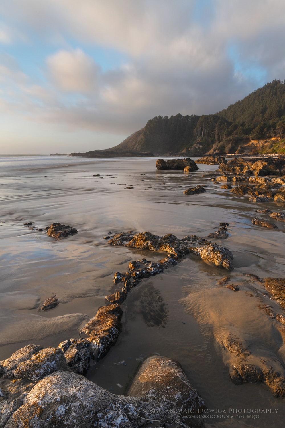 Strawberry Hill wayside on the central Oregon coast at low tide during evening golden hour #87886