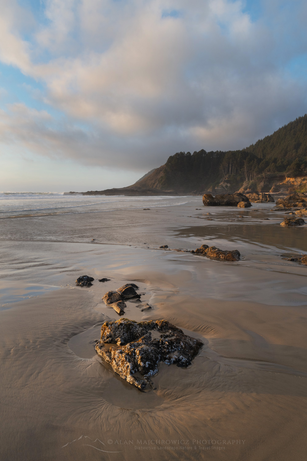 Strawberry Hill wayside on the central Oregon coast at low tide during evening golden hour #87888