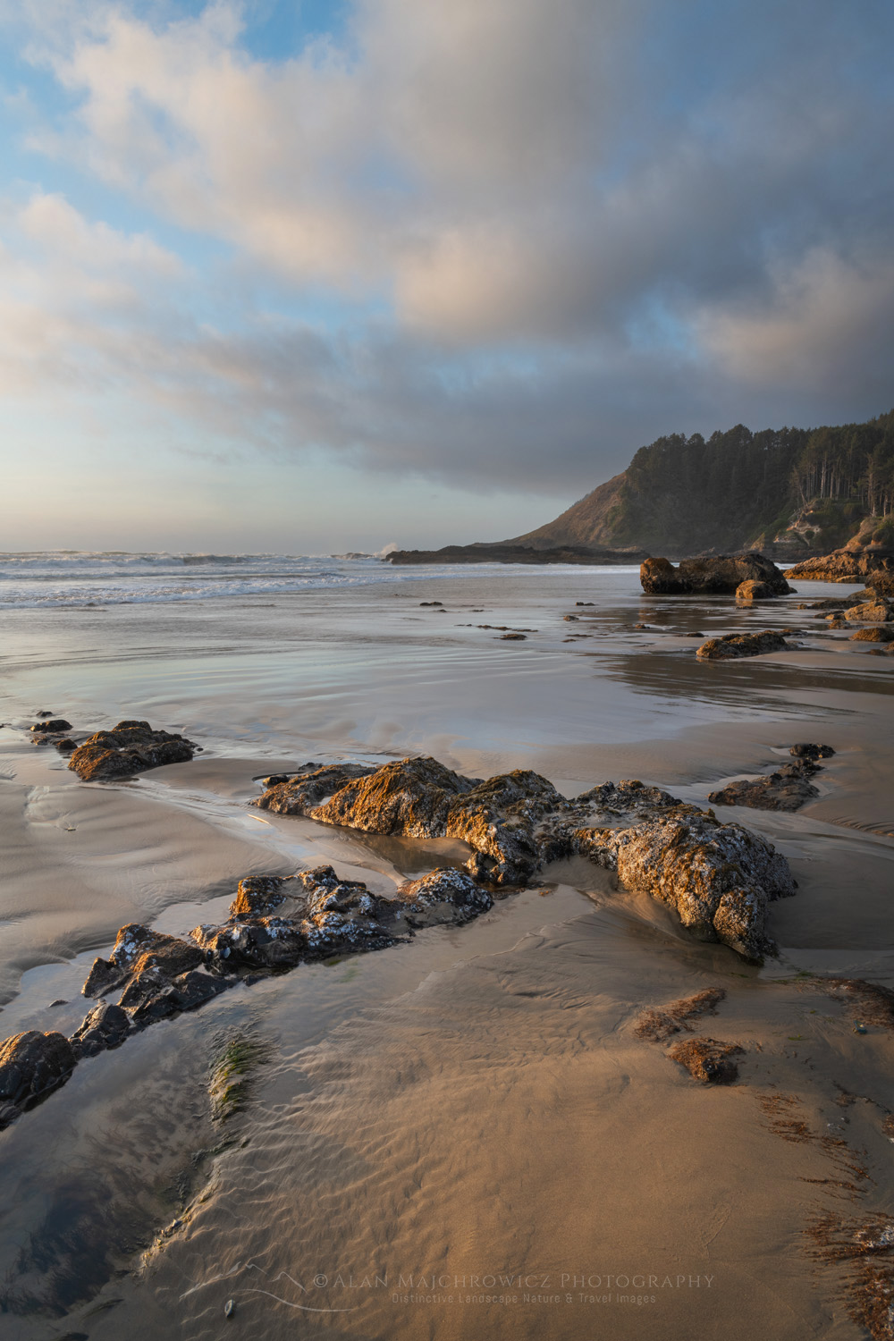 Strawberry Hill wayside on the central Oregon coast at low tide during evening golden hour #87889