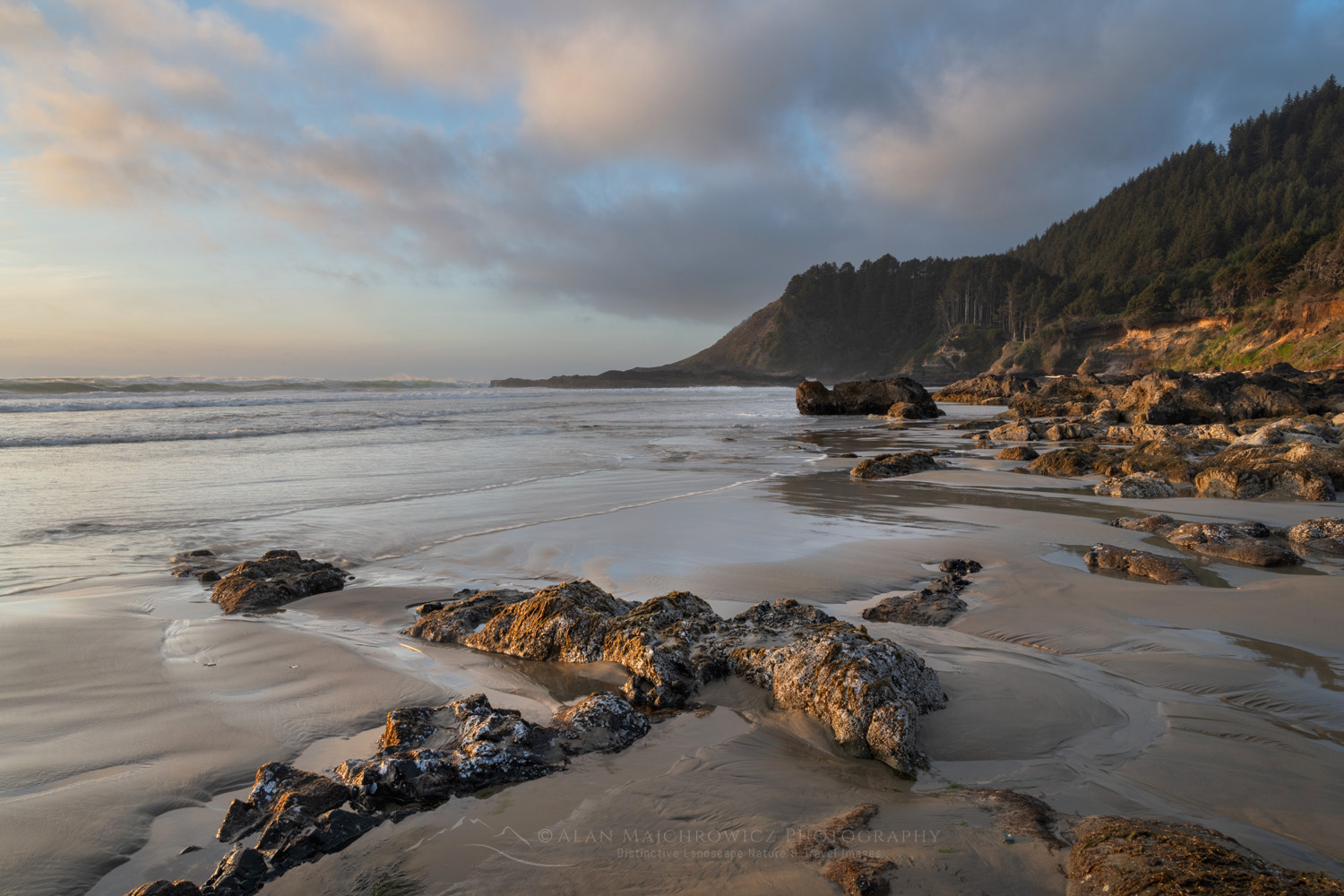 Strawberry Hill wayside on the central Oregon coast at low tide during evening golden hour #87891