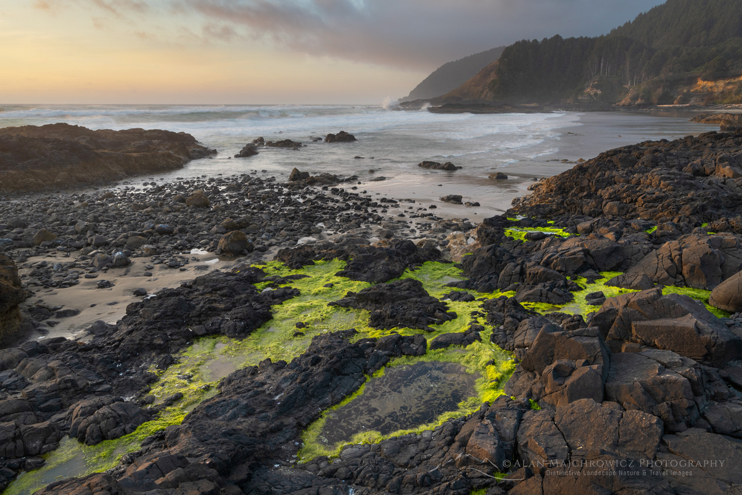 Strawberry Hill wayside on the central Oregon coast at low tide during evening golden hour #87894