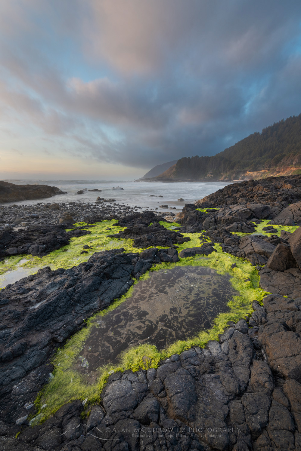 Strawberry Hill wayside on the central Oregon coast at low tide during evening golden hour #87897