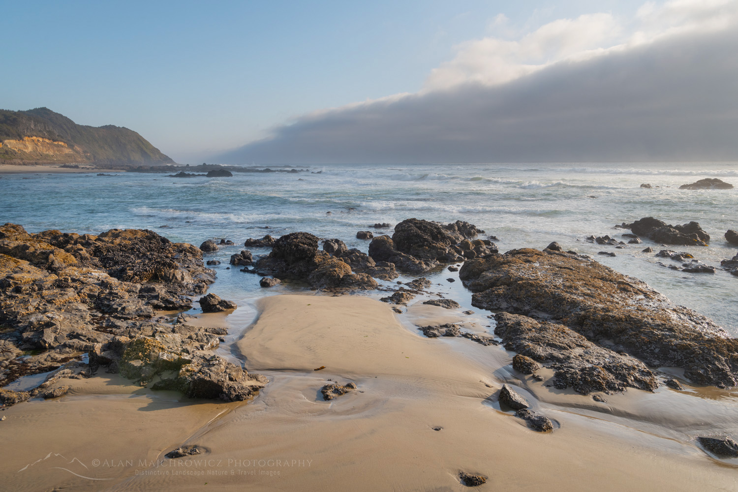 Strawberry Hill wayside along the central Oregon coast #87919