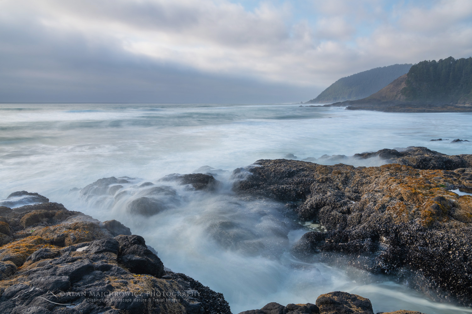 Strawberry Hill along the central Oregon coast #87927