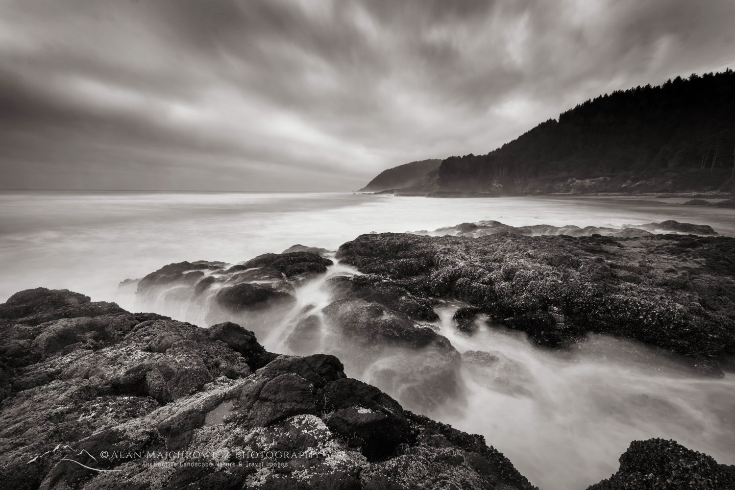 Strawberry Hill along the central Oregon coast #87929bw
