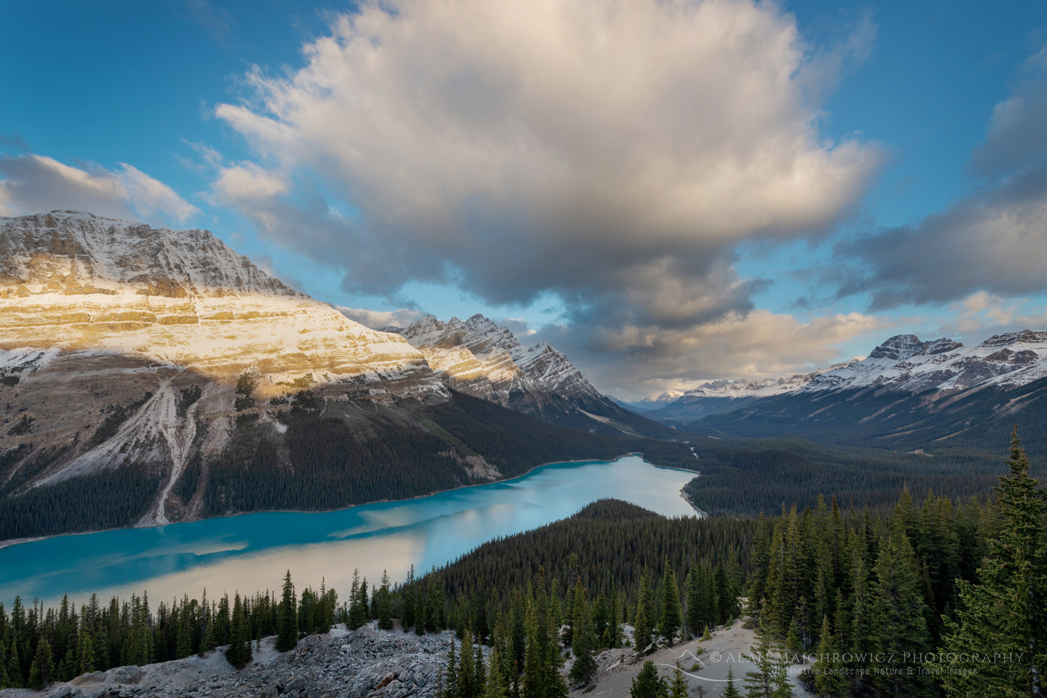 Peyto Lake at sunrise after a fresh dusting of autumn snow. Banff National Park. Alberta, Canada #88887