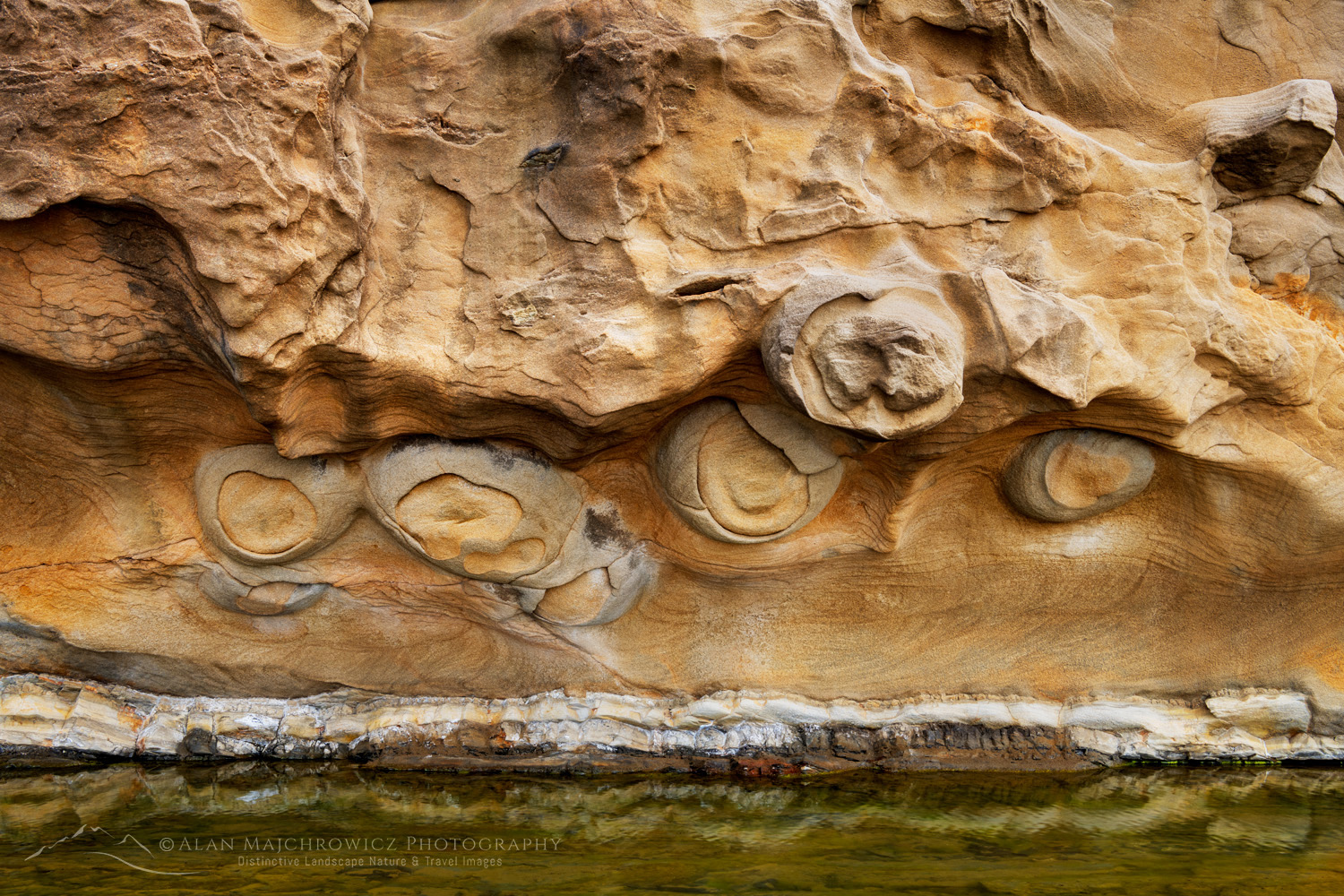 Shore Acres State Park, Oregon, mineral concretions #87829