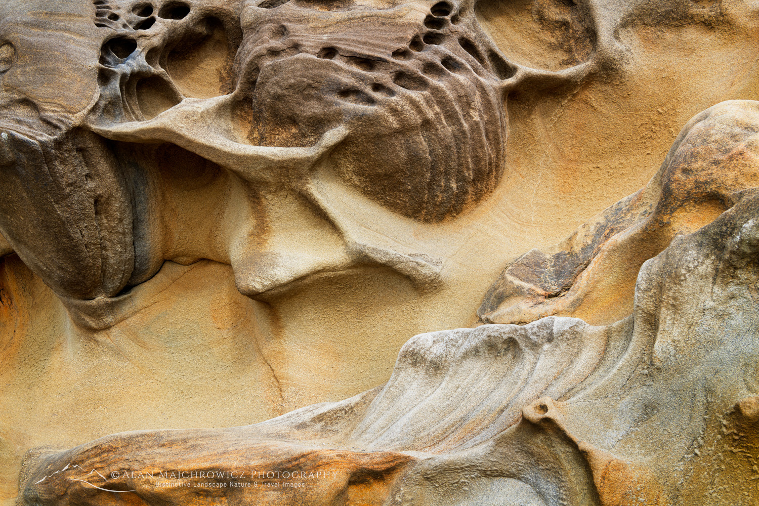 Shore Acres State Park, Oregon, mineral concretions #87830