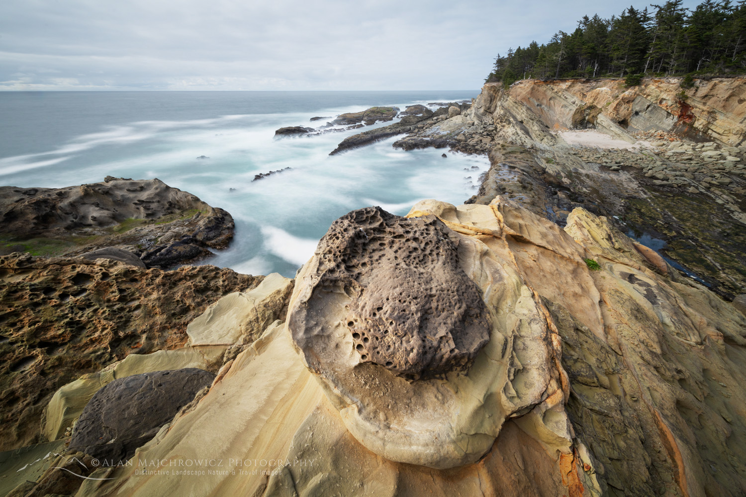 Shore Acres State Park, Oregon, mineral concretions #87837
