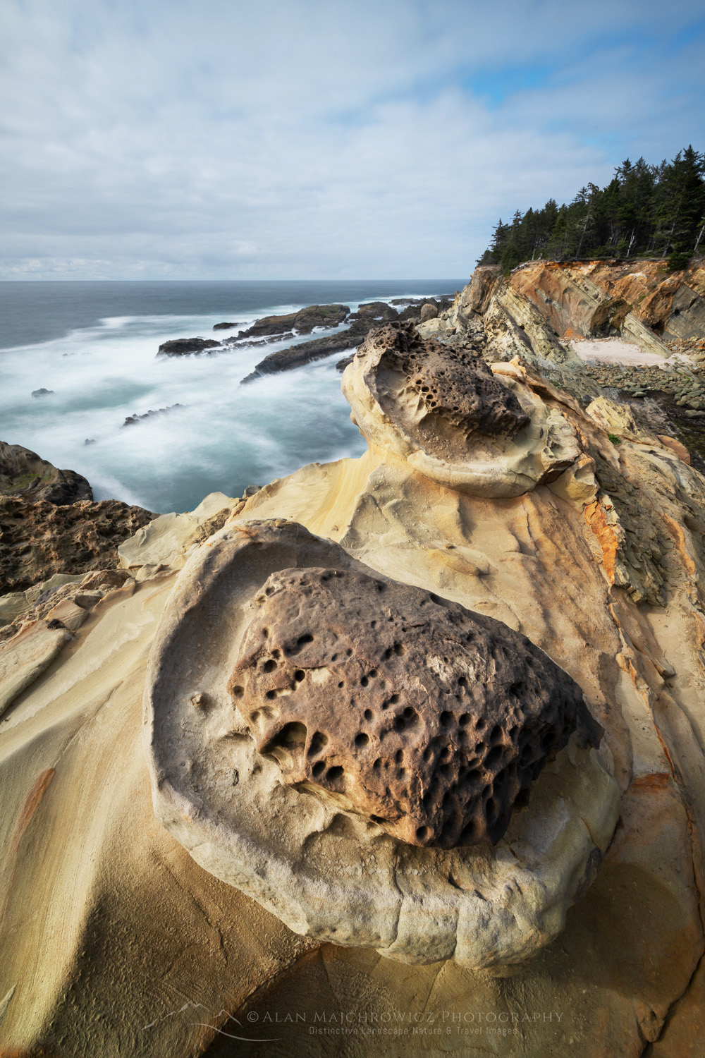 Shore Acres State Park, Oregon, mineral concretions #87838