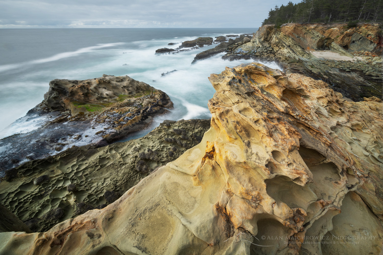 Shore Acres State Park, Oregon, mineral concretions #87844