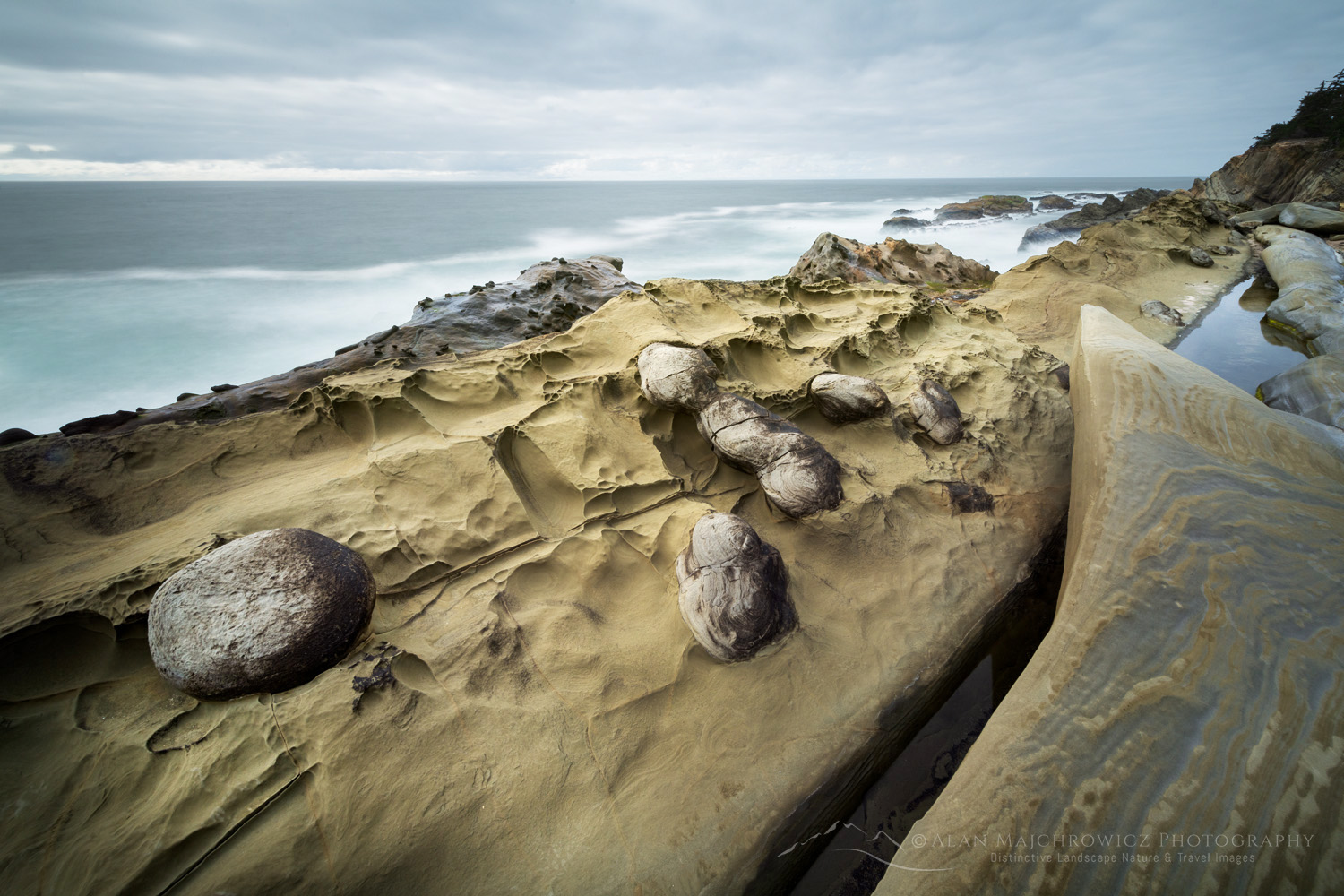Shore Acres State Park, Oregon, mineral concretions #87847