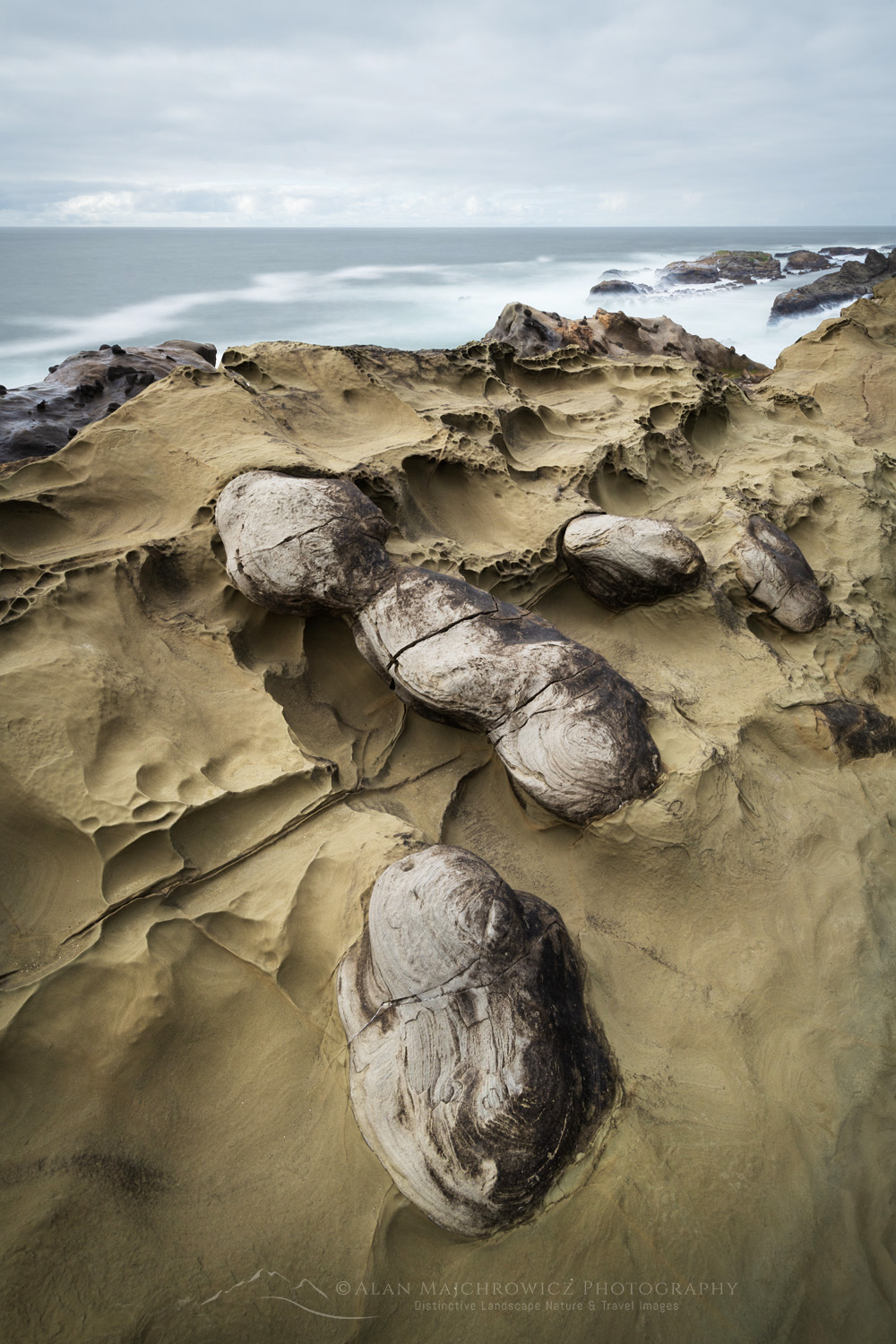 Shore Acres State Park, Oregon, mineral concretions #87848