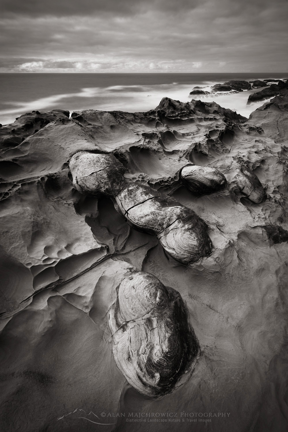 Shore Acres State Park, Mineral concretions, Oregon #87848bw