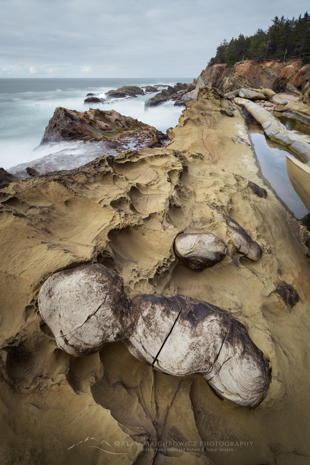 Shore Acres State Park, Oregon, mineral concretions #87849