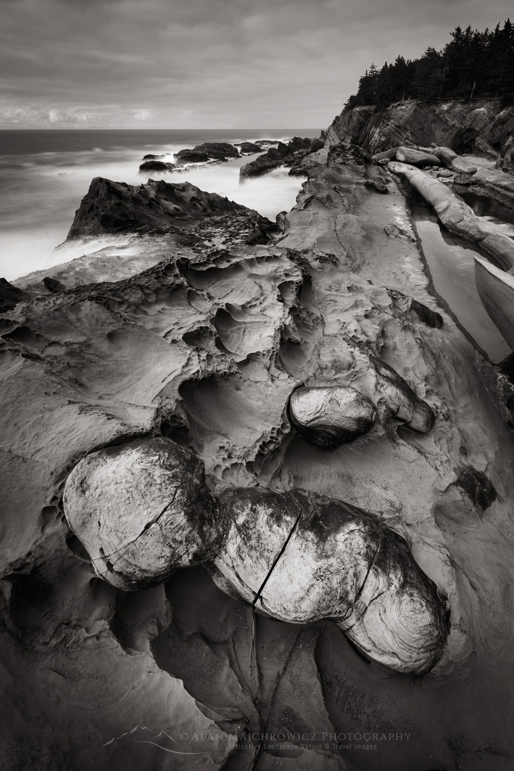 Shore Acres State Park, Mineral concretions, Oregon #87849bw