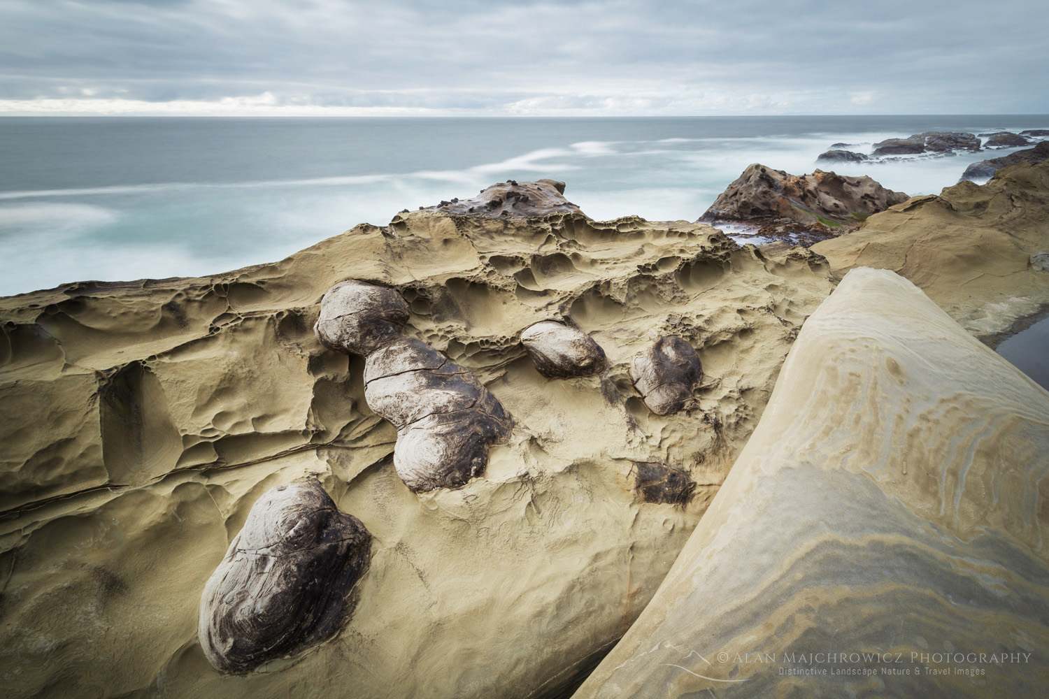 Shore Acres State Park, Oregon, mineral concretions #87850