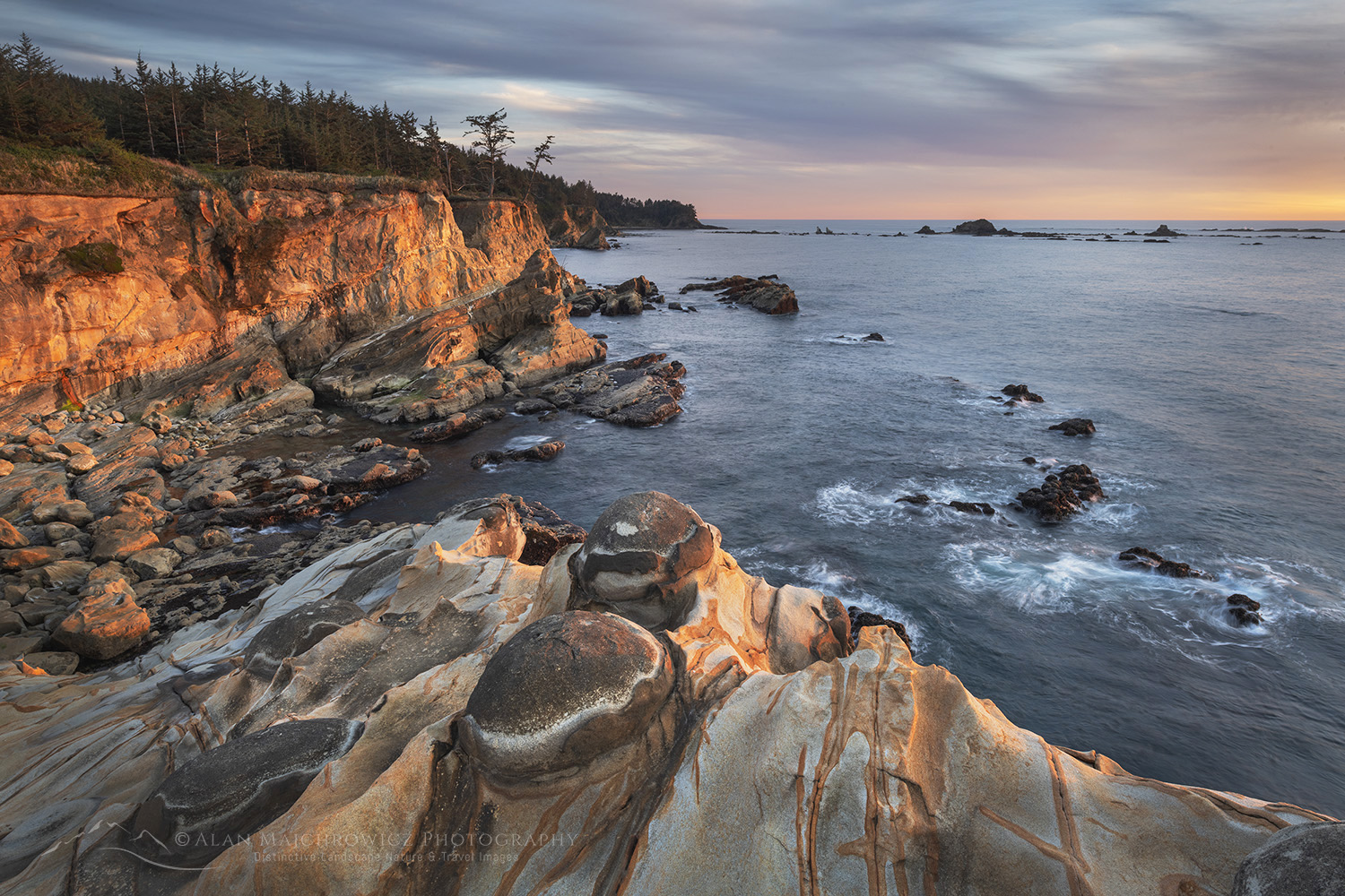 Mineral concretions on cliffs of Shore Acres State Park Oregon #83015