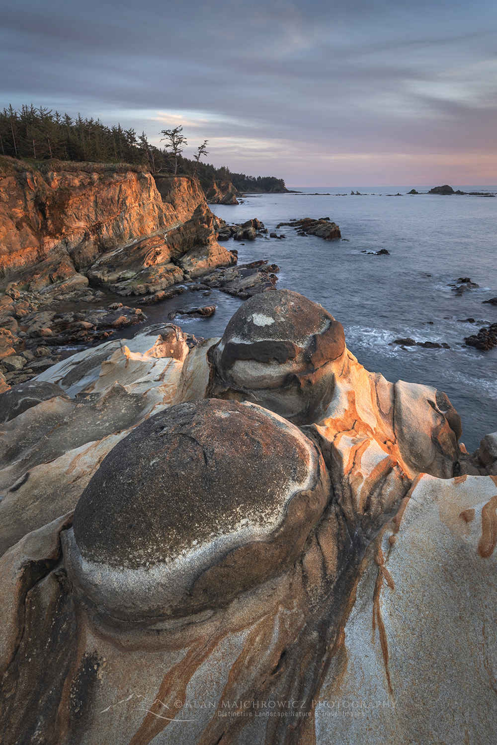 Mineral concretions on cliffs of Shore Acres State Park Oregon #83028