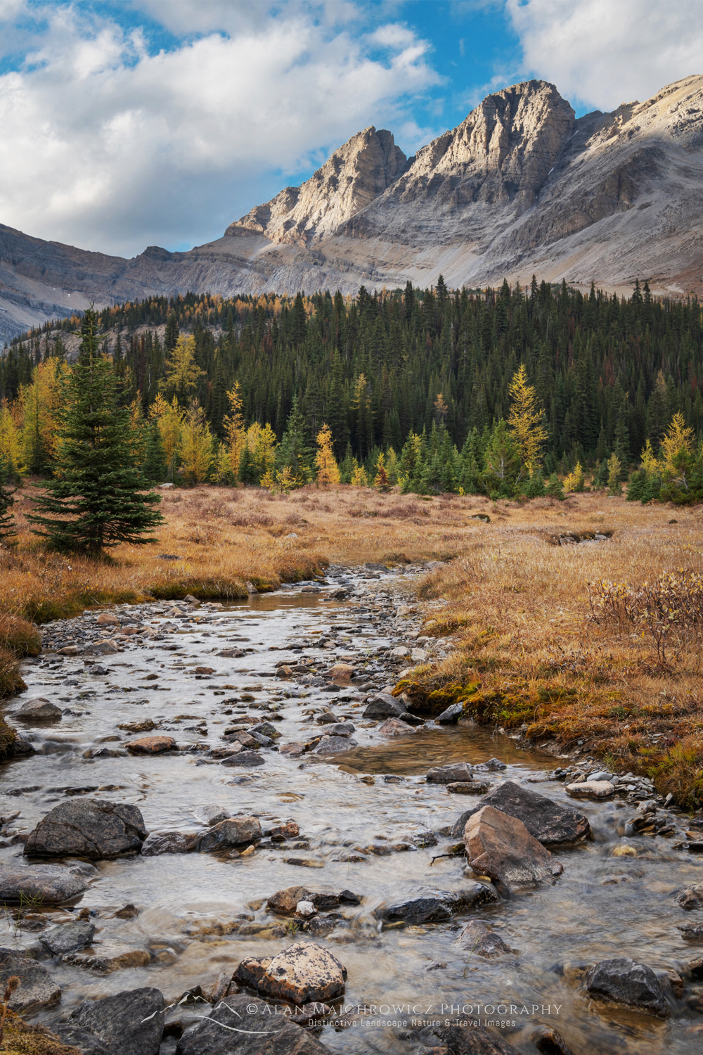 Pika Peak and Corral Creek. Banff National Park, Alberta, Canada #88561