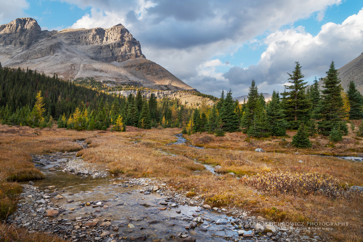 Ptarmigan Peak and Corral Creek. Banff National Park, Alberta, Canada #88563