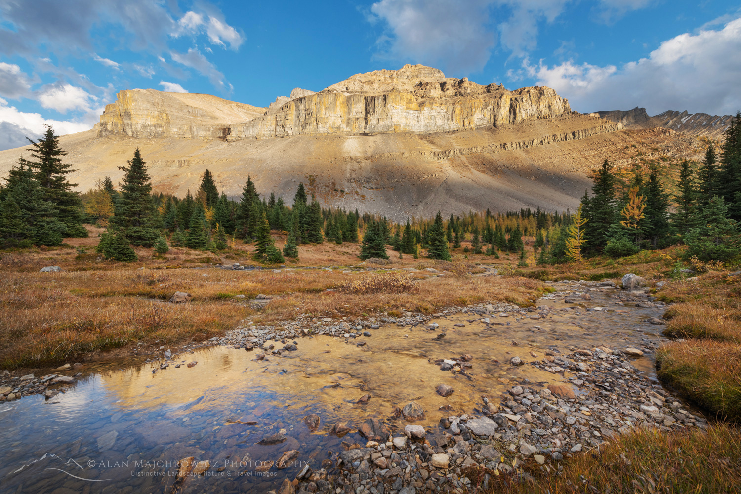 Redoubt Mountain and Corral Creek. Banff National Park, Alberta, Canada #88568