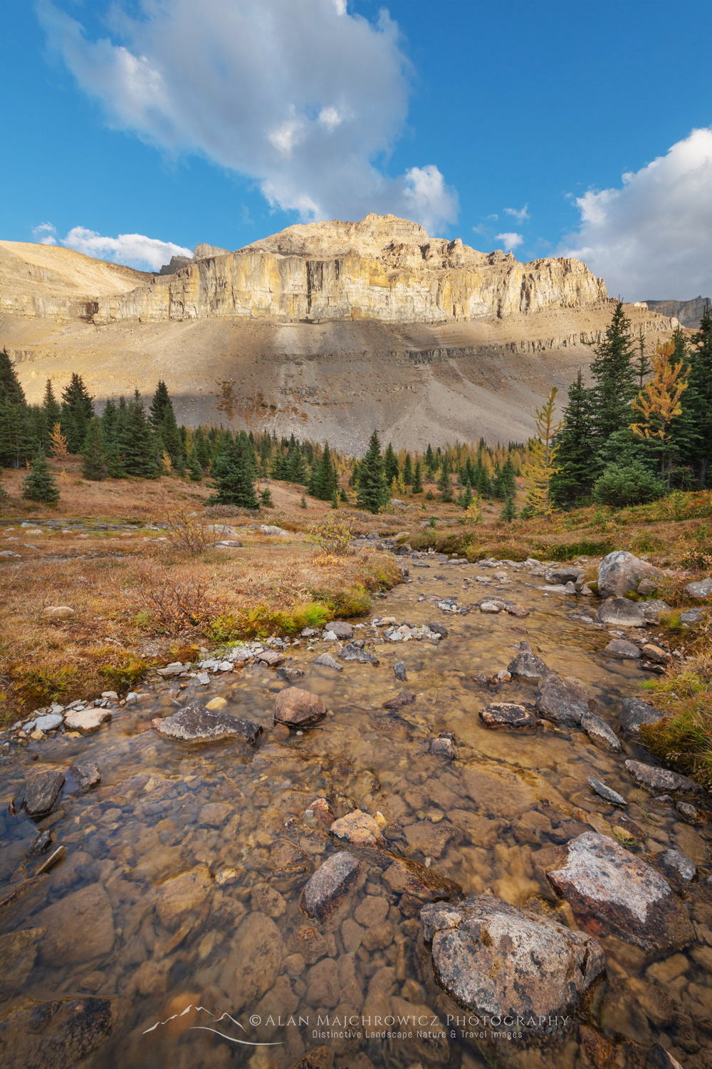 Redoubt Mountain and Corral Creek. Banff National Park, Alberta, Canada #88578