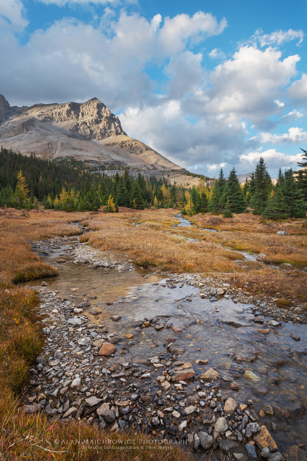 Ptarmigan Peak and Corral Creek. Banff National Park, Alberta, Canada #88579