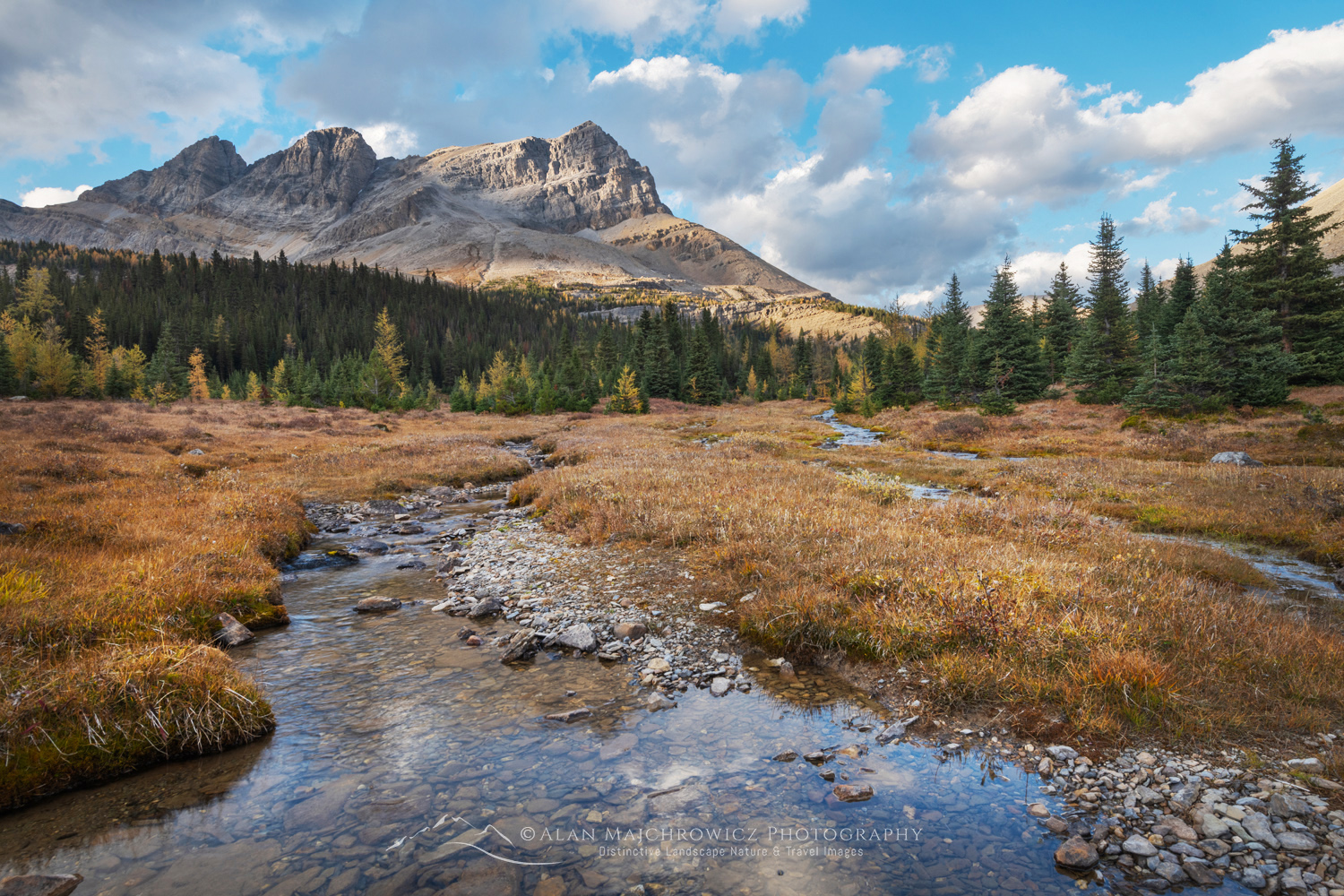 Ptarmigan Peak and Corral Creek. Banff National Park, Alberta, Canada #88585