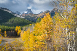 Wedge Pond surrounded by aspens and cottonwood trees in golden fall foliage. Kananaskis Country in the Canadian Rockies Alberta Canada #81538